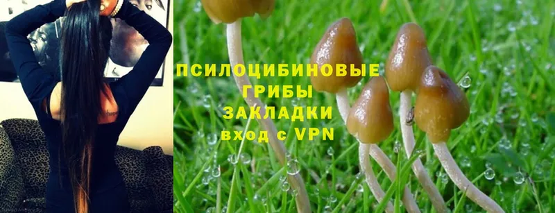 наркота  KRAKEN как войти  Галлюциногенные грибы Magic Shrooms  Шадринск 